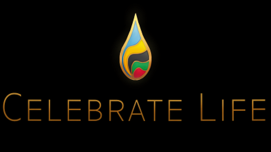 Celebrate Life logo Description: celebrate life symbol of fire, water and the wing of the pheonix in a single drop with Paralympic/Olympic colors honoring Sandy Hanebrink's 33rd Anniversary of when she had the reaction that caused her disability.  She was